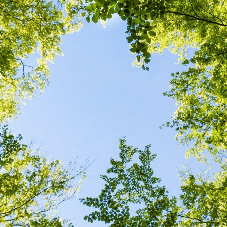 tech for a greener future